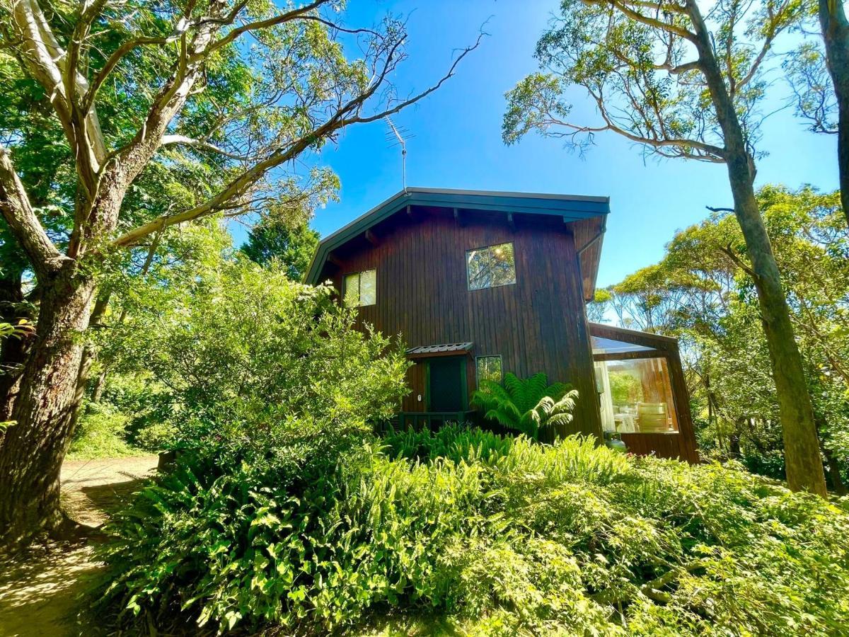 Sublime Cedar Lodge Leura Ngoại thất bức ảnh