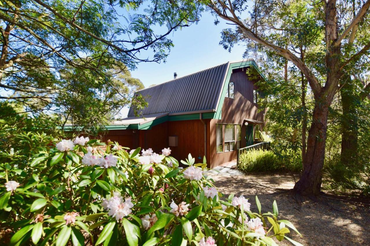 Sublime Cedar Lodge Leura Ngoại thất bức ảnh